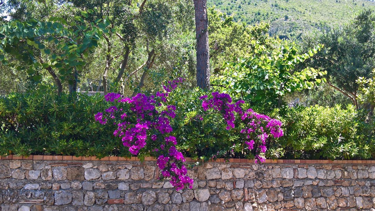 Hotel Cala Del Citro Maratea Exterior foto